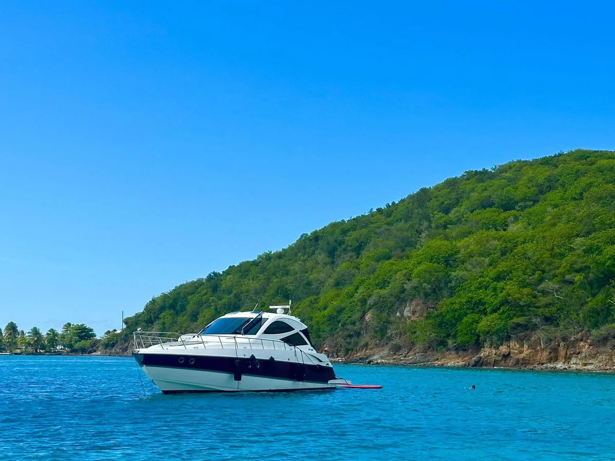 El Cruiser Yachts 50' de casco oscuro fondeado en agua azul frente a una costa verde