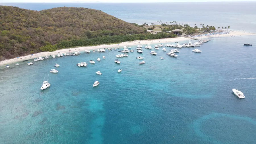 Vista aérea de Isla Palominos: la loma boscosa, la playa con sillas y sombrillas, el muelle y decenas de botes fondeados